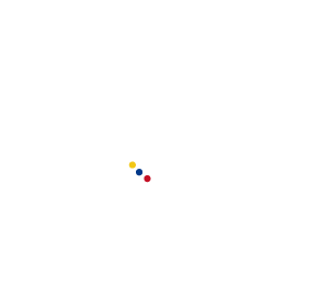 Macaw Colombia